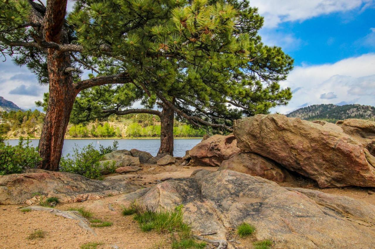 On Fall River - Permit #3193 Estes Park Exteriér fotografie
